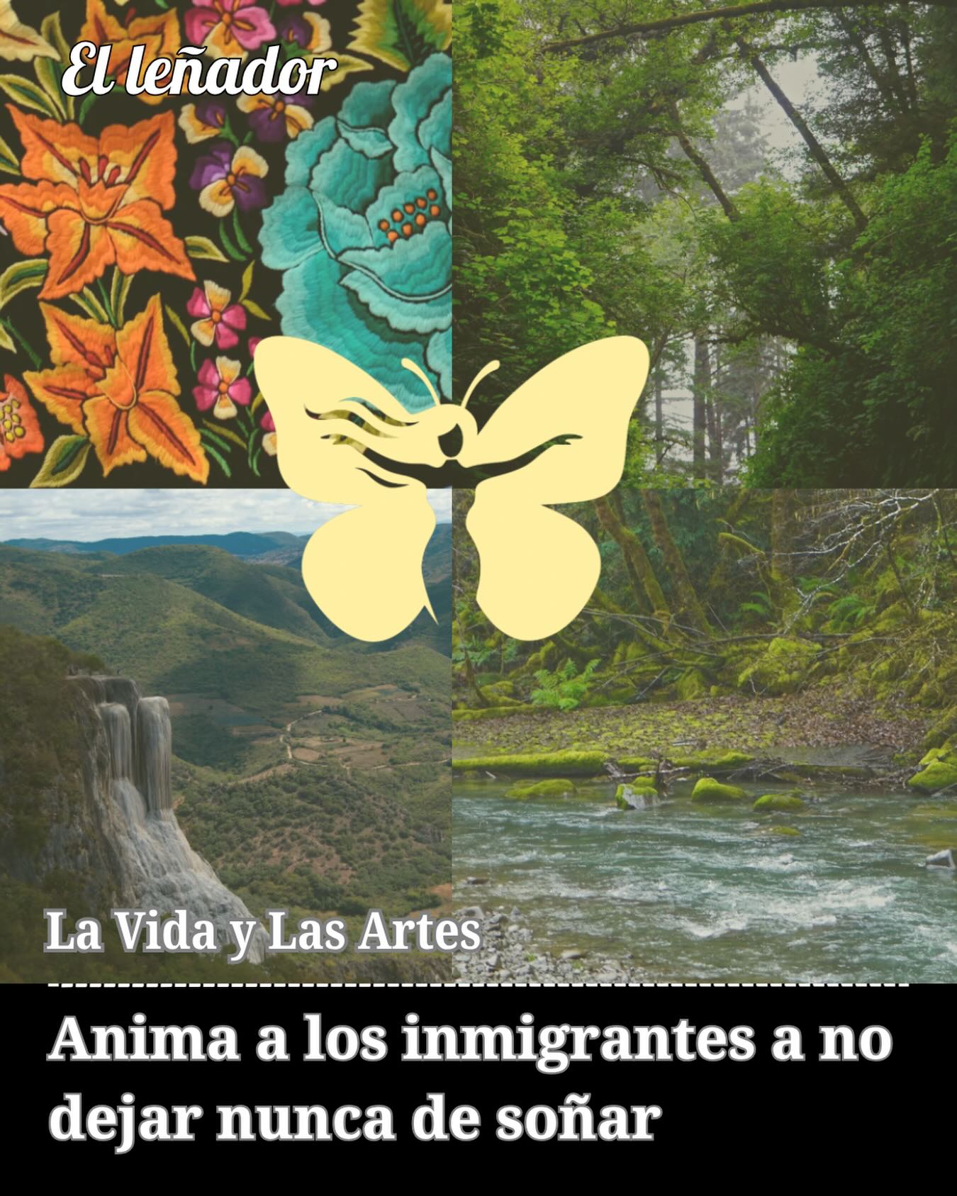 True North es una organización sin ánimo de lucro del condado de Humboldt que trabaja para empoderar a las familias, especialmente dentro de la comunidad latina, a través de talleres, grupos de apoyo y actividades de divulgación comunitaria. Entre quienes están haciendo cambios se encuentra Yohana Castillo, ahora líder dentro de la organización.

Historia por Carmen Ruiz Fernández 
Foto por Erandi Hernández 

Para ver la historia completa, haga clic en el enlace de nuestra biografía.

#ellenadornews #condadodehumboldt #noticiasdehumboldt  #CPHumboldt #Accesshumboldt
