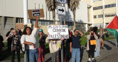 Multiple protesters gathered outside of the Eureka courthouse holding signs in support of Palestine.