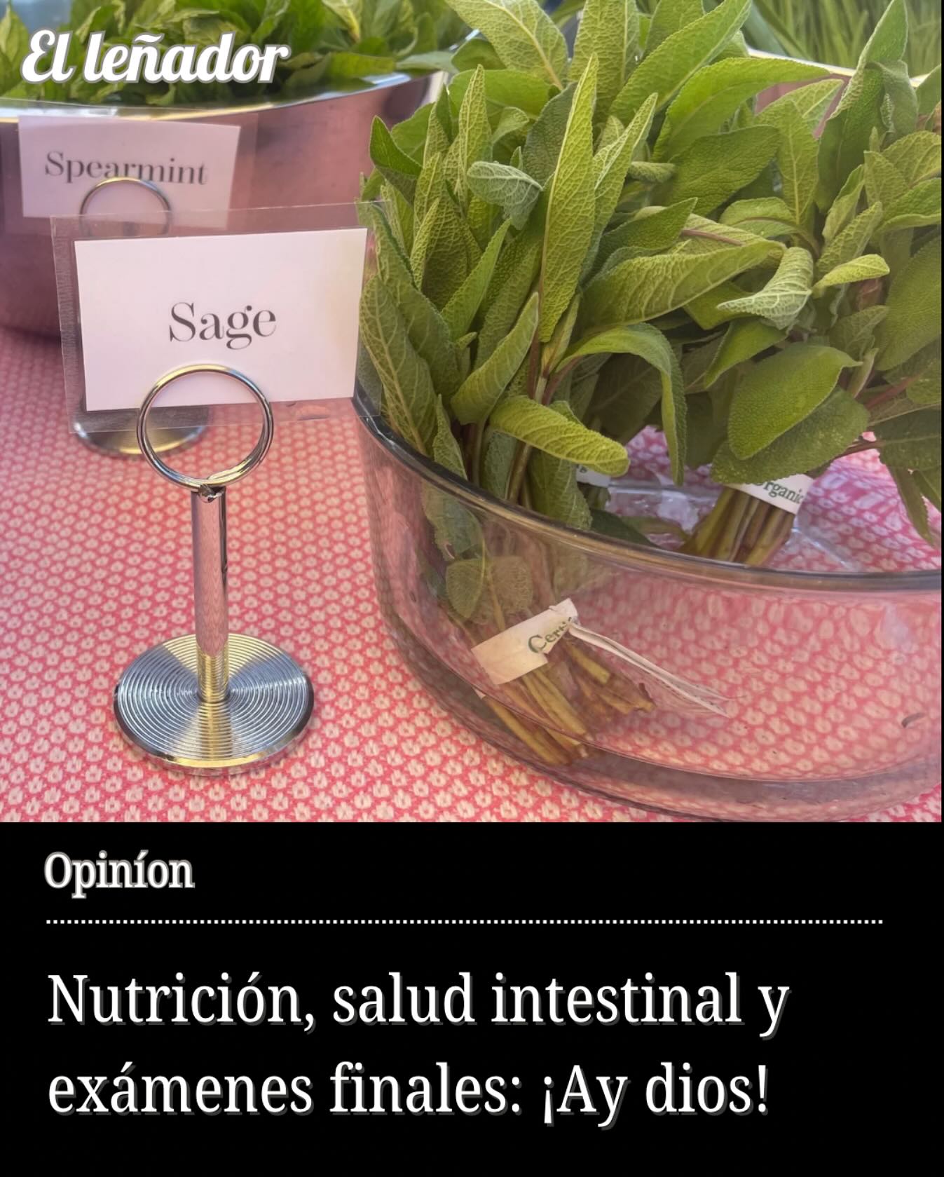¿Alguna vez has oído el intestino llamado “el segundo cerebro”? Hay una razón para eso, y durante la semana final, mantener tu intestino saludable podría ser el impulso cerebral que no sabías que necesitabas.

Columna y foto de Jessica de Laguna

Lee la historia completa haciendo clic en el enlace de nuestra biografía.

#ElLenadorNews #CondadodeHumboldt #NoticiasdeHumboldt #Nutrición #saluddelastripas #hierbas