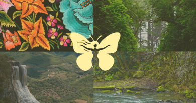 Anima a los inmigrantes a no dejar nunca de soñar