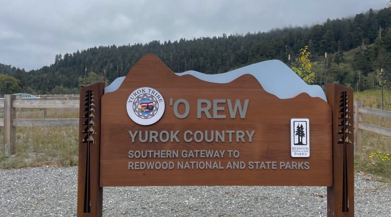 La tribu Yurok restaurará 125 acres y abre el camino ‘O Rew Redwoods Gateway cerca de Orick