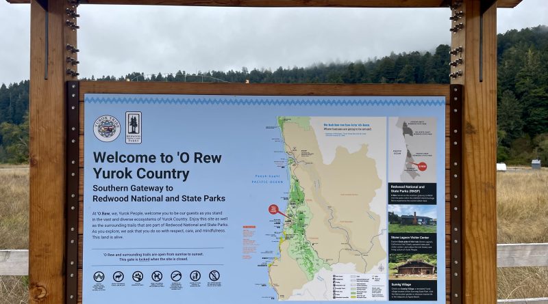 Yurok Tribe restores 125 acres and opens ‘O Rew Redwoods Gateway near Orick